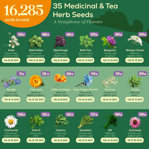 35 Pack 16,285+ Packets Seedphony Medicinal & Tea Herb Seeds Variety - Non-GMO Heirloom Herbs Seeds for Planting Indoor