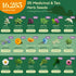 35 Pack 16,285+ Packets Seedphony Medicinal & Tea Herb Seeds Variety - Non-GMO Heirloom Herbs Seeds for Planting Indoor