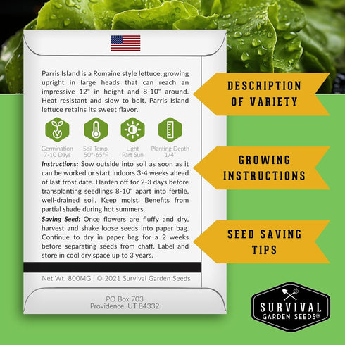 (1 Pack) Romaine Lettuce Seeds for Planting Parris Island Cos Heirloom Variety with Crisp, Tender Heads Heat Tolerant