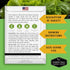 (1 Pack) Romaine Lettuce Seeds for Planting Parris Island Cos Heirloom Variety with Crisp, Tender Heads Heat Tolerant