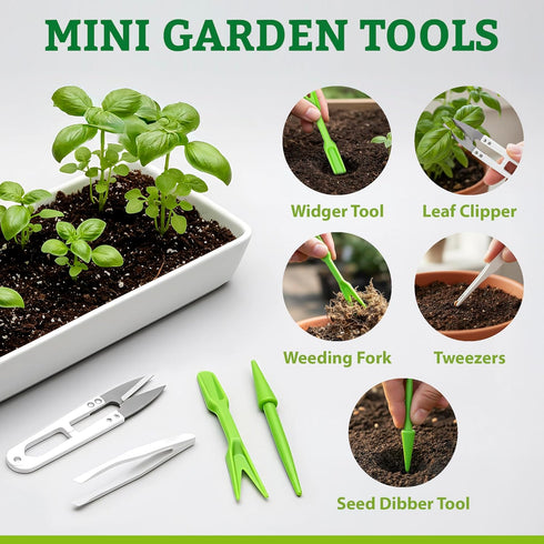 Pack 30 Culinary Vegetable & Herb Seeds Variety - Heirloom Non-GMO Garden Seeds for Planting, Seed Kit with Tools, Made