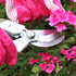 Worth Garden 8" Bypass Pruning Shears, SK5 Steel Blade, Reinforced Nylon Handle with Ergonomic Grip, Gardening Clippers