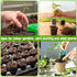 ZeeDix 100 Pcs 30mm Peat Pellets Seed Starter Soil Pods for Vegetable Seedling with 100 Labels & 2 Tools