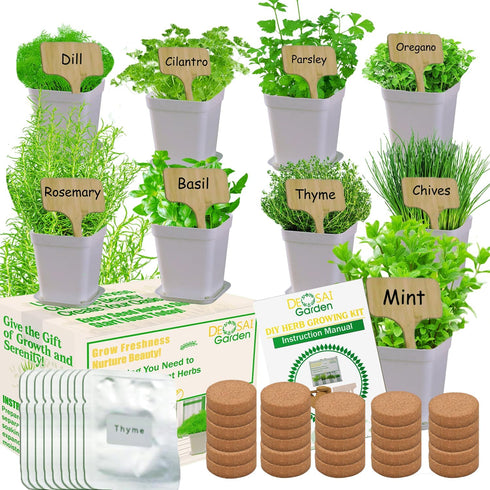 DESAI Garden Indoor Herb Garden Kit, 9 Non-GMO Seeds with Reusable Pots, Planter DIY