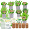 DESAI Garden Indoor Herb Garden Kit, 9 Non-GMO Seeds with Reusable Pots, Planter DIY