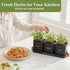 Set PERFNIQUE Indoor Herb Garden, Herb Planter with Tray, Farmhouse Indoor Plant Pots, Windowsill Herb Garden
