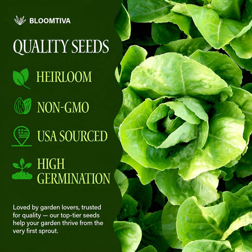Bloomtiva 8000+ Pack, Romaine Lettuce Seeds Parris Island Cos, Heirloom Non-GMO Seeds, High Germination Bulk Grown