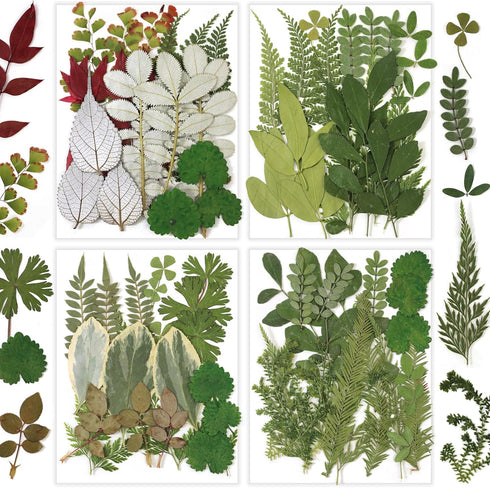 84 Pcs Dried Pressed Leaves Flowers Kit, Assorted Natural Dried Greenery for Resin Art, DIY Crafts & Scrapbooking