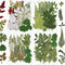 84 Pcs Dried Pressed Leaves Flowers Kit, Assorted Natural Dried Greenery for Resin Art, DIY Crafts & Scrapbooking