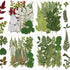 84 Pcs Dried Pressed Leaves Flowers Kit, Assorted Natural Dried Greenery for Resin Art, DIY Crafts & Scrapbooking