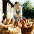 32 oz 11 BGraceyy Chicken Nesting Herbs Natural Dried Herb Blend with Marigold for Chicken Coop & Roost Refresh