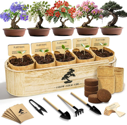 LUOJIBIE Bonsai Tree Kit for Beginners - Unique DIY Japanese Bonsai Trees,Crafts