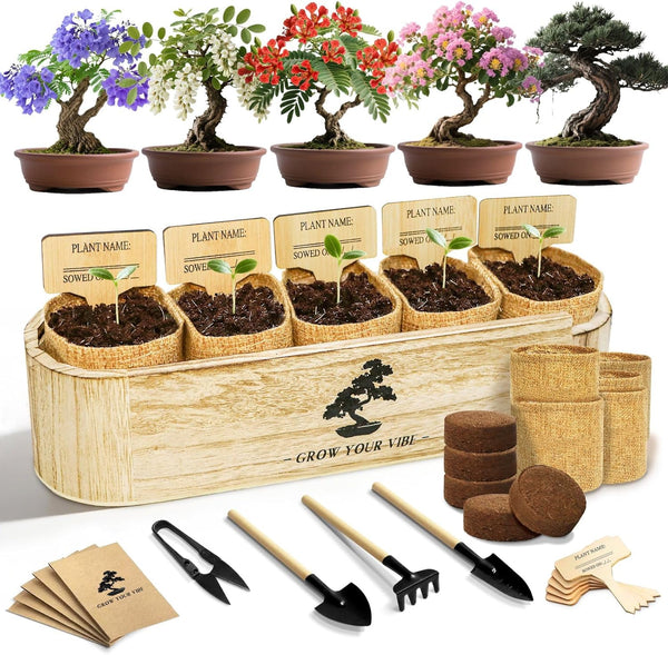 LUOJIBIE Bonsai Tree Kit for Beginners - Unique DIY Japanese Bonsai Trees,Crafts