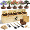 LUOJIBIE Bonsai Tree Kit for Beginners - Unique DIY Japanese Bonsai Trees,Crafts
