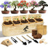 LUOJIBIE Bonsai Tree Kit for Beginners - Unique DIY Japanese Bonsai Trees,Crafts