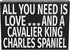 JennyGems Wooden Dog Lover Gift Sign - All You Need Is Love and a Cavalier King Charles - Rustic Shelf Decor for