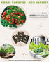 15 Tactiko Survival Vegetable Seed Kit Varieties for Small Urban Garden, Balconies & Patios - Non-GMO, Heirloom