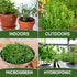 Pack 200+ Thyme Seeds for Planting Home Garden Herbs - Non-GMO, Heirloom, Untreated, and USA Grown Variety - Individual