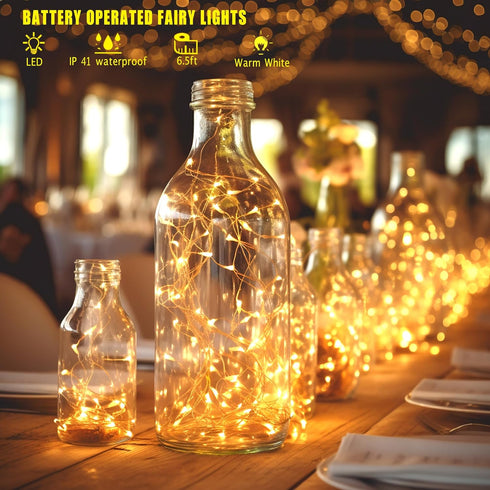 6 Pack 2PCS 6.5ft 20LED Fairy Lights Battery Operated with Timer Remote Warm White Twinkle Lights Waterproof Silver