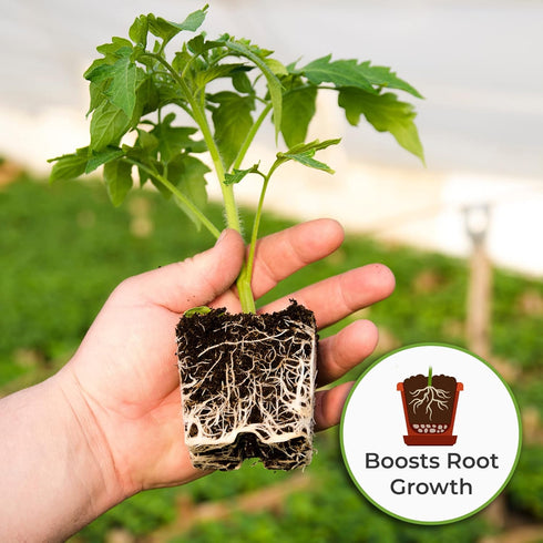 8oz. Perfect Plants Tomato Plant Fertilizer in Bottle | Help Your Vegetable Garden Thrive | Rich in Essential nutrients