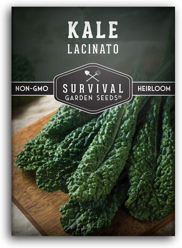 Lacinato Kale Seeds for Planting Outdoors or Indoors Heirloom Dinosaur Tuscan Kale