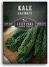 Lacinato Kale Seeds for Planting Outdoors or Indoors Heirloom Dinosaur Tuscan Kale