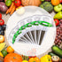 240 Vesici Pieces Hydroponic Pod Kit Including Grow Baskets Grow Sponges and Domes Pod Labels Hydroponics Growing Kit