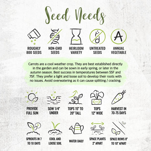 (5 Packs) Seed Needs Carrot Seeds for Planting Tendersweet Carrots - Non-GMO Heirloom & Untreated Vegetable Seed