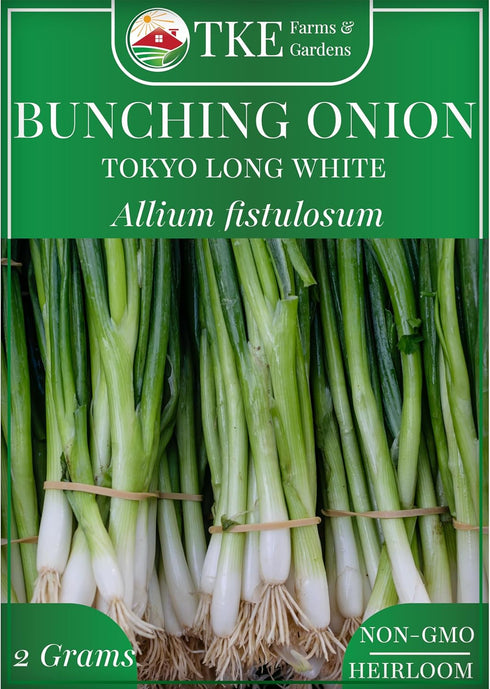 TKE Farms & Gardens - Tokyo Long White Bunching Onion Seeds, 500+