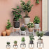 NQW 5 Pack Heavy Duty Metal Stand Decorates Multiple Plants for Indoor and Outdoor, Anti-Rust Iron Flower Pot Holder