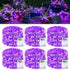 QITONG Purple Fairy Lights Battery Operated, 6 Pack Each 16ft 50 LED