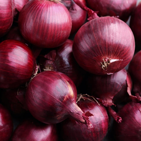 The Old Farmer's Almanac (1 Packet 1 250 Red Creole Onion Seeds - Heirloom, Non-GMO, Premium Quality, Open Pollinated