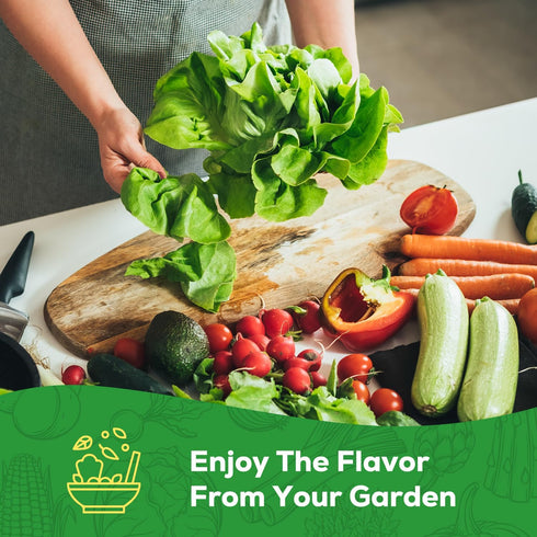 10 Pack Vegetable Seeds - Non GMO, Heirloom - Basil, Snap Pea, Broccoli, Bean, Jalapeo Pepper, Tomato, Lettuce
