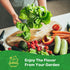 10 Pack Vegetable Seeds - Non GMO, Heirloom - Basil, Snap Pea, Broccoli, Bean, Jalapeo Pepper, Tomato, Lettuce