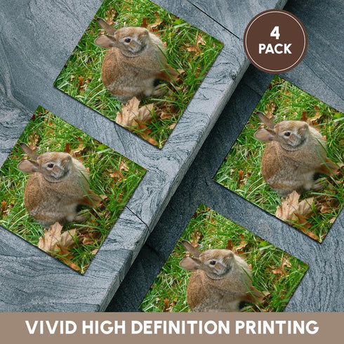 3dRose Bunny Rabbit in Autumn Ceramic Tile Coasters, Set of 4