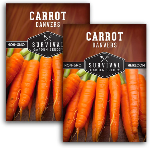 Danvers Carrot Seeds Danvers 126 Half-Long Carrots for Planting, High-Yield Heirloom Variety