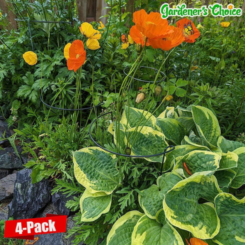 (4 Pack, 14x8Inch) Snake Plant Support Stake - Half Round Peony Stake and Support, Heavy Duty Hydrangea Support Cage