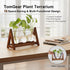 3 Bulb (1, 3-Bulb) Plant Terrarium with Wooden Stand, Glass Vase Metal Holder, Retro Hydroponics Planter