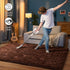 5x8 HOMORE Brown Rugs for Living Room, Feet Fluffy Shag Area Rug for Bedroom, Super Soft Coffee Rugs for Room Decor
