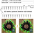 17.94ft 50 8 BrizLabs Green String Lights, LED Christmas Lights, Modes Battery Green Xmas Lights Indoor/Outdoor, Mini