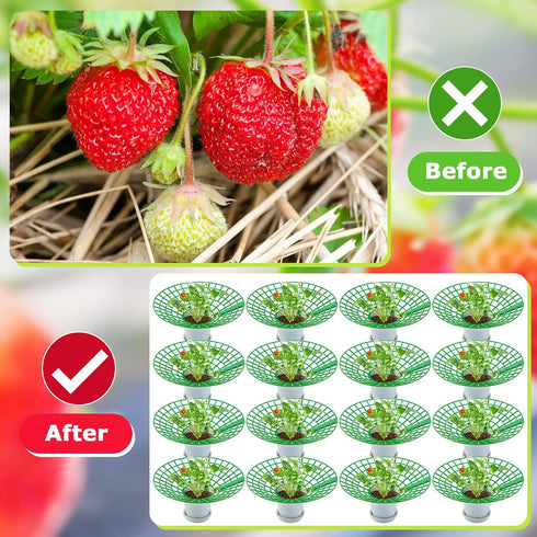 30 Packs 3 Strawberry Supports Strawberry Growing Frame Strawberry Plant Support Plant Protectors Strawberry Trellis