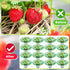 30 Packs 3 Strawberry Supports Strawberry Growing Frame Strawberry Plant Support Plant Protectors Strawberry Trellis