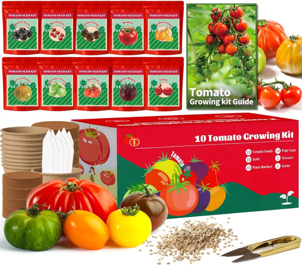 EquSym 10 Pack Tomato Seeds for Planting - Heirloom Tomato Seeds for Indoor