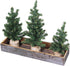 Winlyn 3 Pack Mini Canadian Pine Trees with Wood Bases, Artificial Miniature Christmas Trees for Holiday Decoration