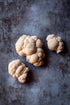 3.5 lb Organic Lion's Mane Mushroom Growing Kit - Indoor Gardening Kit for Fresh Gourmet Mushrooms - Easy to Grow at