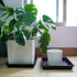 NIMYAU 12 Inch 2 PackPlant Square Plant Saucer Stand Plant Trays for Pots Heavy Duty Plastic Plant Saucers for Indoors