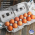 1 Dozen 11.50" 4.2" 1.25" (Pack 15) MT Products Blank Natural Pulp Egg Cartons Hold Twelve Eggs x x - Perfect