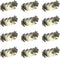 Beistle Foil Roman Laurel Wreaths - 12 Piece, OSFM, Gold