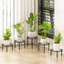 5-Pack Metal Plant Stands, Anti-Rust Iron Flower Pot Stand Plant Pot Shelf for Multiple Plant Decoration Racks for Home