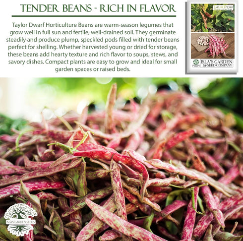 25+ 85% Taylor Dwarf Horticulture Bush Bean Seeds (Phaseolus vulgaris) Non-GMO Heirloom Cranberry Bean Seeds